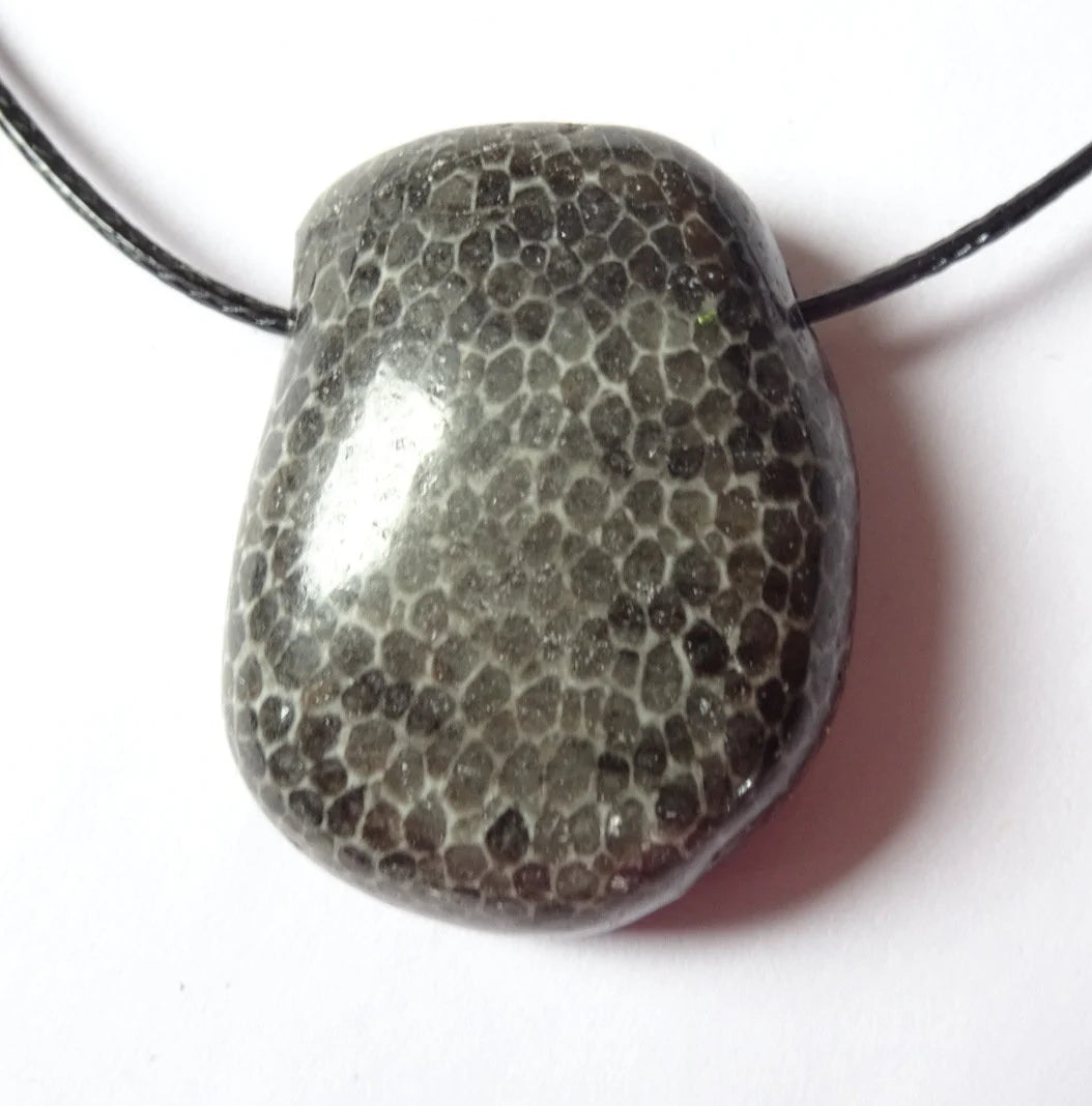 Fossile Schwarze Koralle Anhänger | Tropfenform | Marokko | 21 × 25 mm | Schutzstein