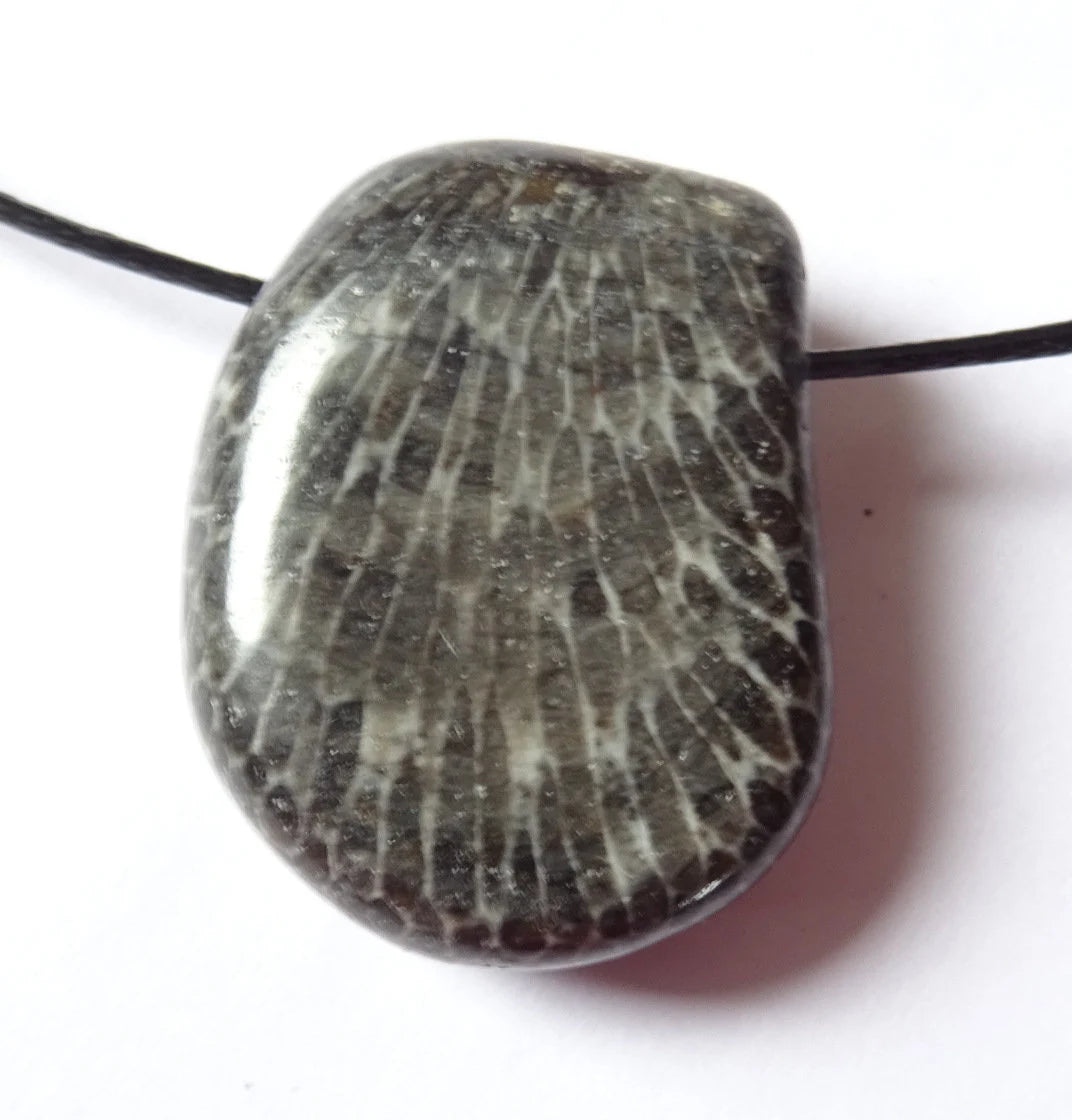 Fossile Schwarze Koralle Anhänger | Tropfenform | Marokko | 21 × 25 mm | Schutzstein