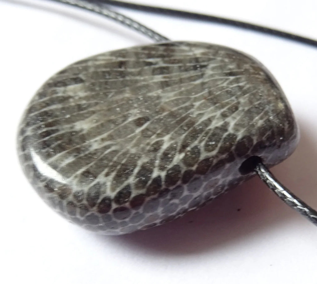 Fossile Schwarze Koralle Anhänger | Tropfenform | Marokko | 21 × 25 mm | Schutzstein