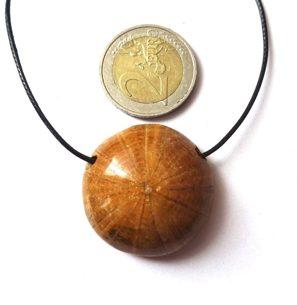Versteinerter Seeigel Anhänger am Band – Pygurus Urchin, Madagaskar, ca. 30 mm