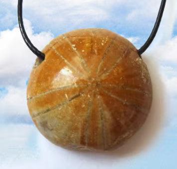 Versteinerter Seeigel Anhänger am Band – Pygurus Urchin, Madagaskar, ca. 30 mm