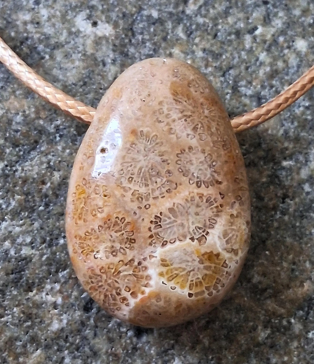 Versteinerte Koralle Anhänger Größe L – Fossil Tropfen 20x30 mm | Sternzeichen Jungfrau