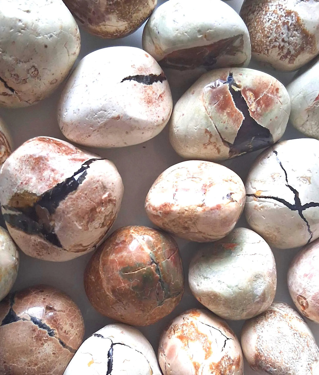 Australischer Sternachat – Thunderegg Amulettstein 38×40 mm | Donnerei, Glücksbringer