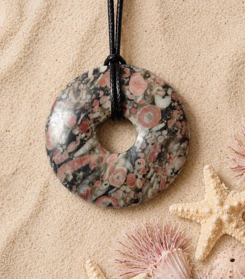 Seelilie Trochit Donut – Fossil Pischeibe, 40 mm, Rarität