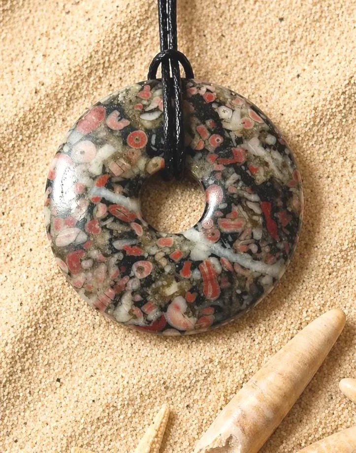 Seelilie Trochit Donut – Fossil Pischeibe, 40 mm, Rarität